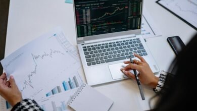 beginner stock picks 2025