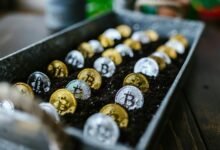 stock investment wealth building
